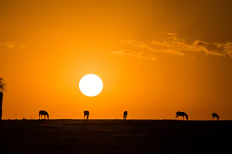 Kenya Bush and Beach Safari Holiday gallery image