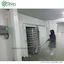 Fish cold storage for food processing