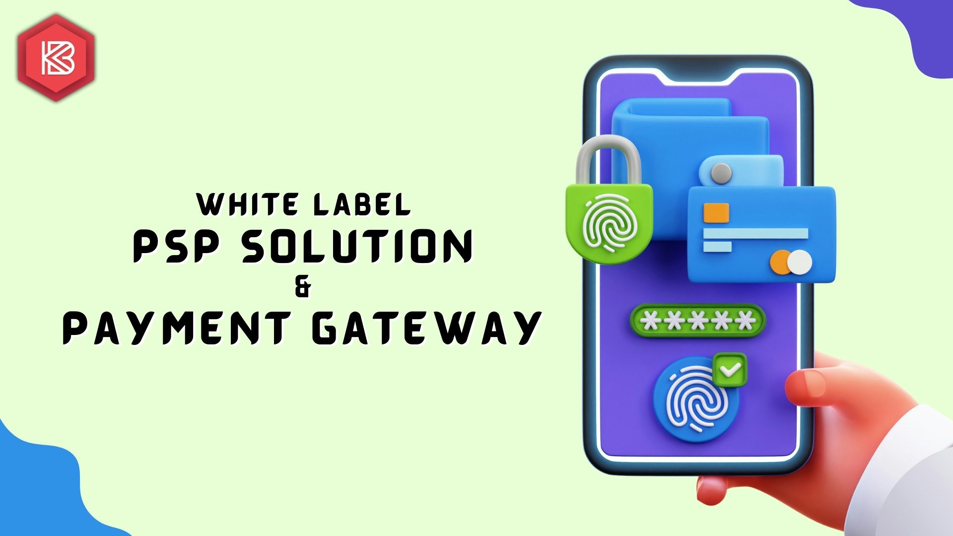 Witte label betalingsserviceprovider - Label PSP -oplossing |Witte-label betalingsgateway media 1