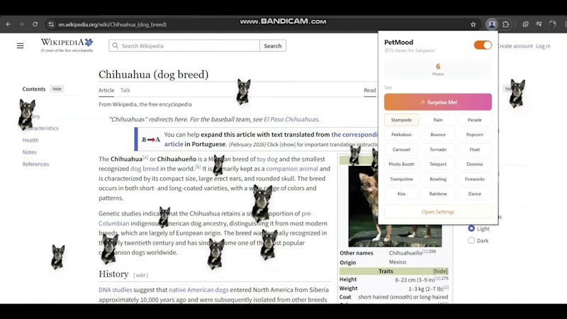 PetMood screenshot 1 (video preview)
