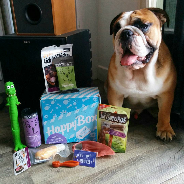 HappyBox by Holidog gallery image