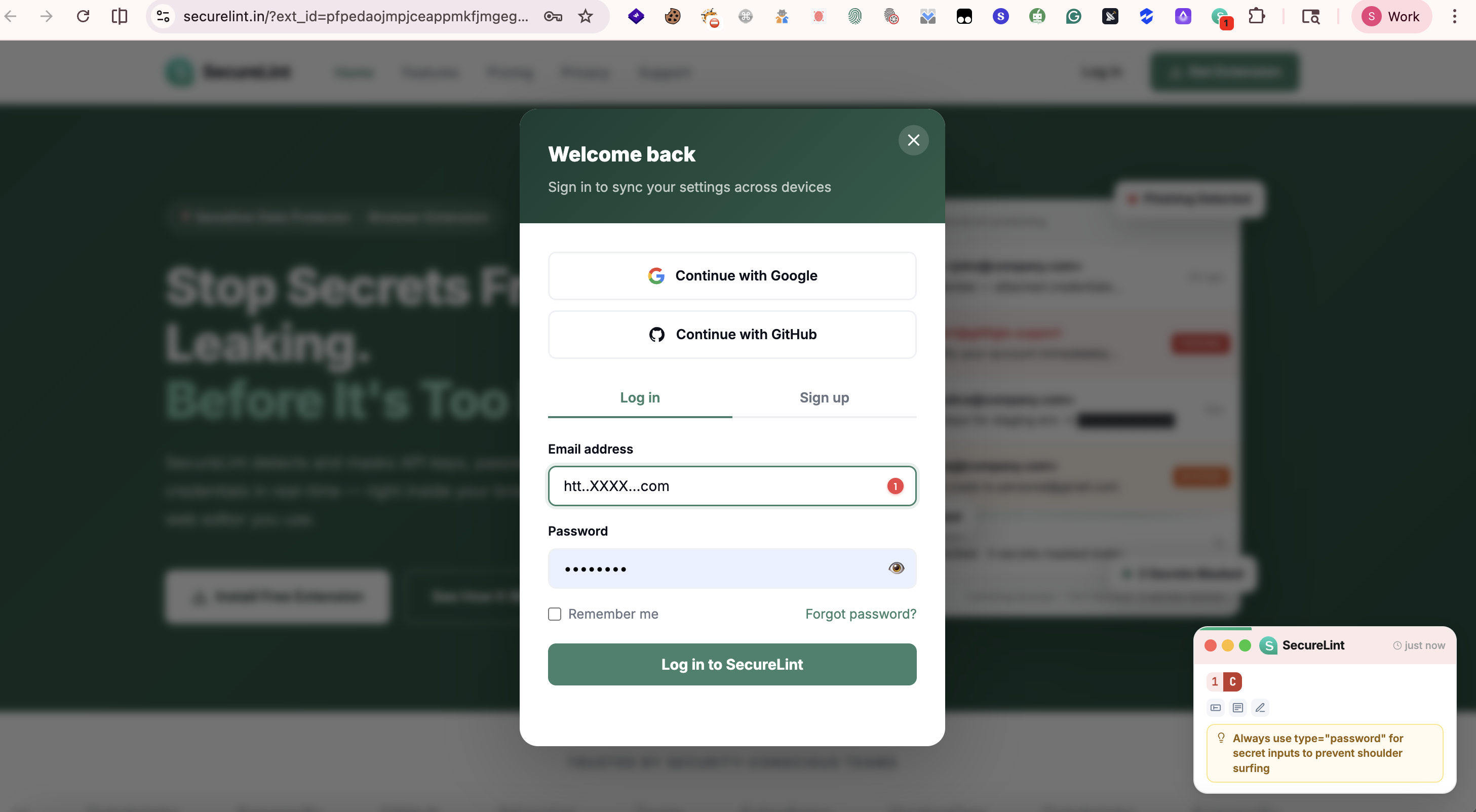 SecureLint Browser Security Extension gallery image