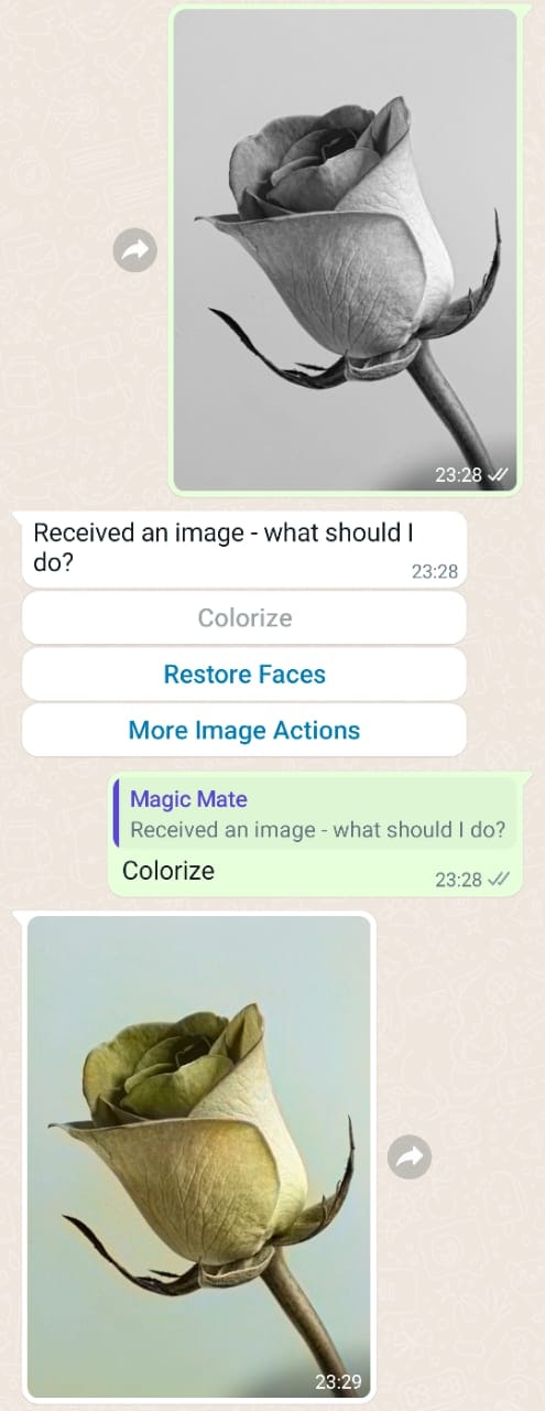 Mídia 6 de Magic Mate