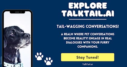 TalkTail.ai gallery image