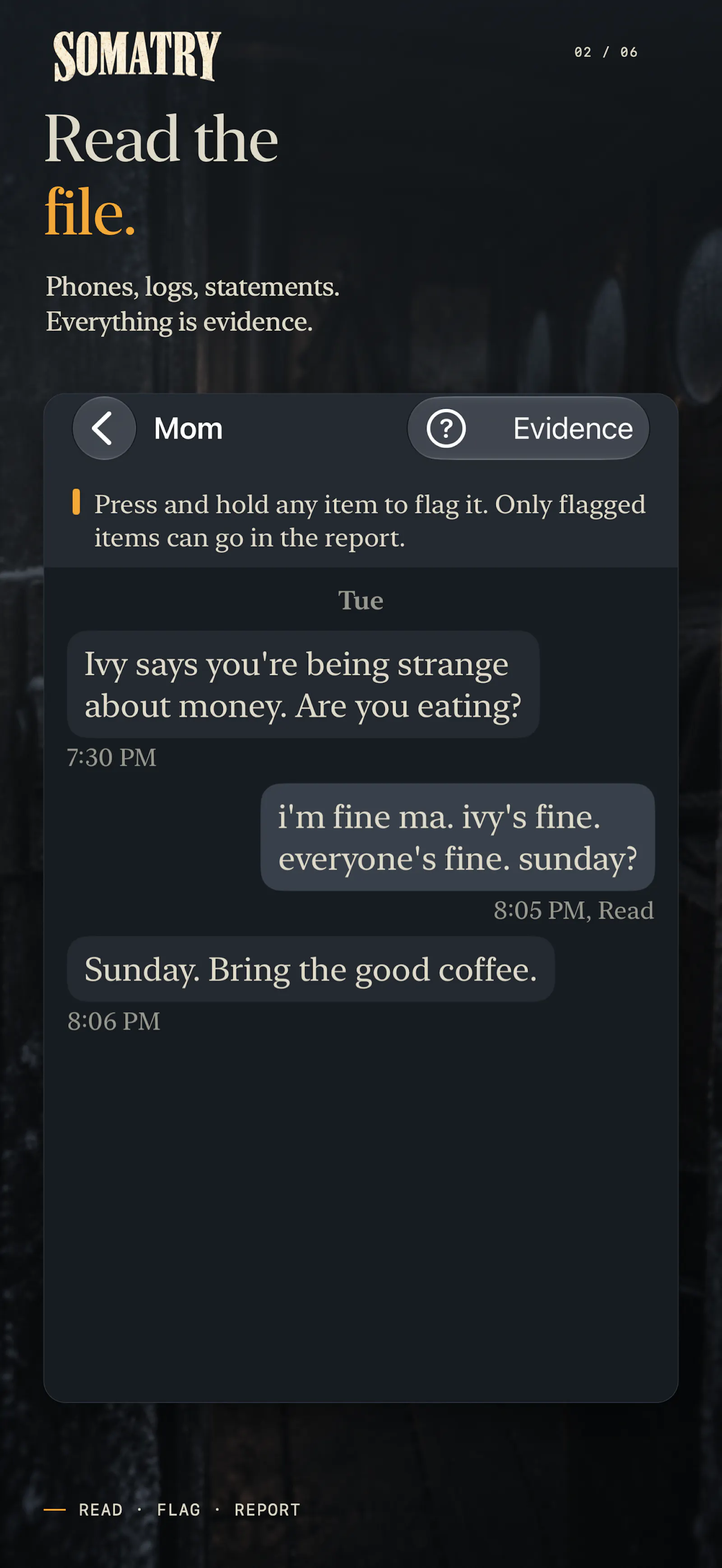 Somatry: Cold Case Mystery screenshot 5