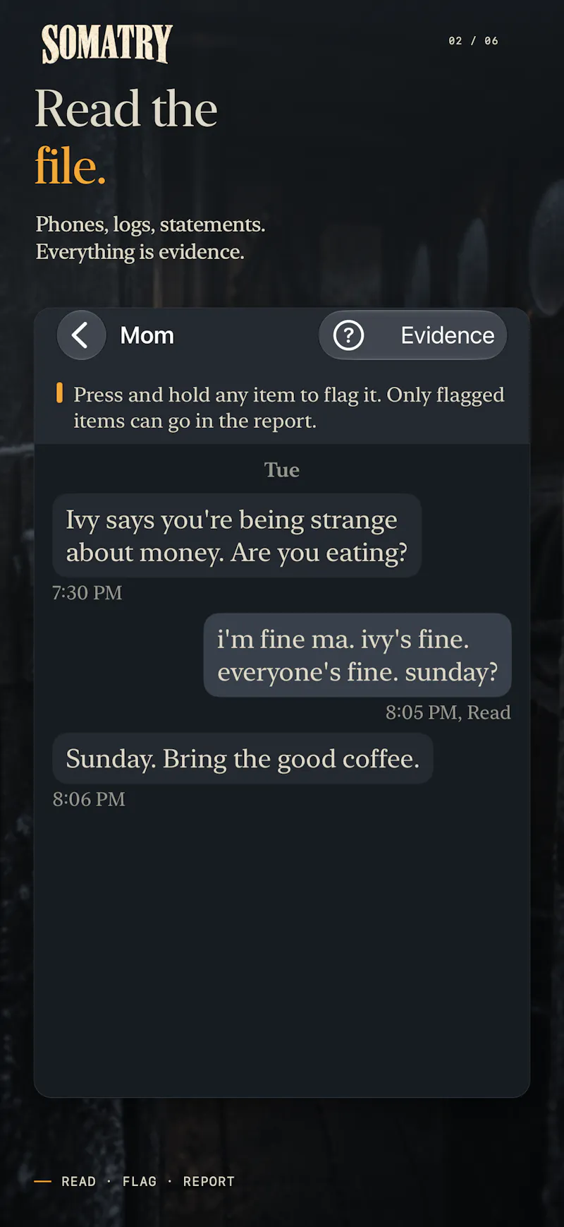 Somatry: Cold Case Mystery screenshot 5