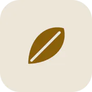 Pofolia logo