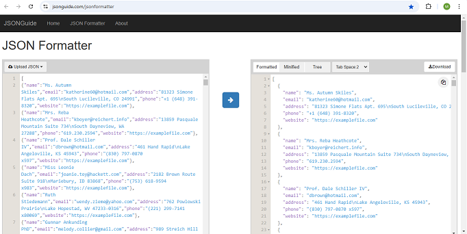 Mídia 1 de JSON Formatter and Validator