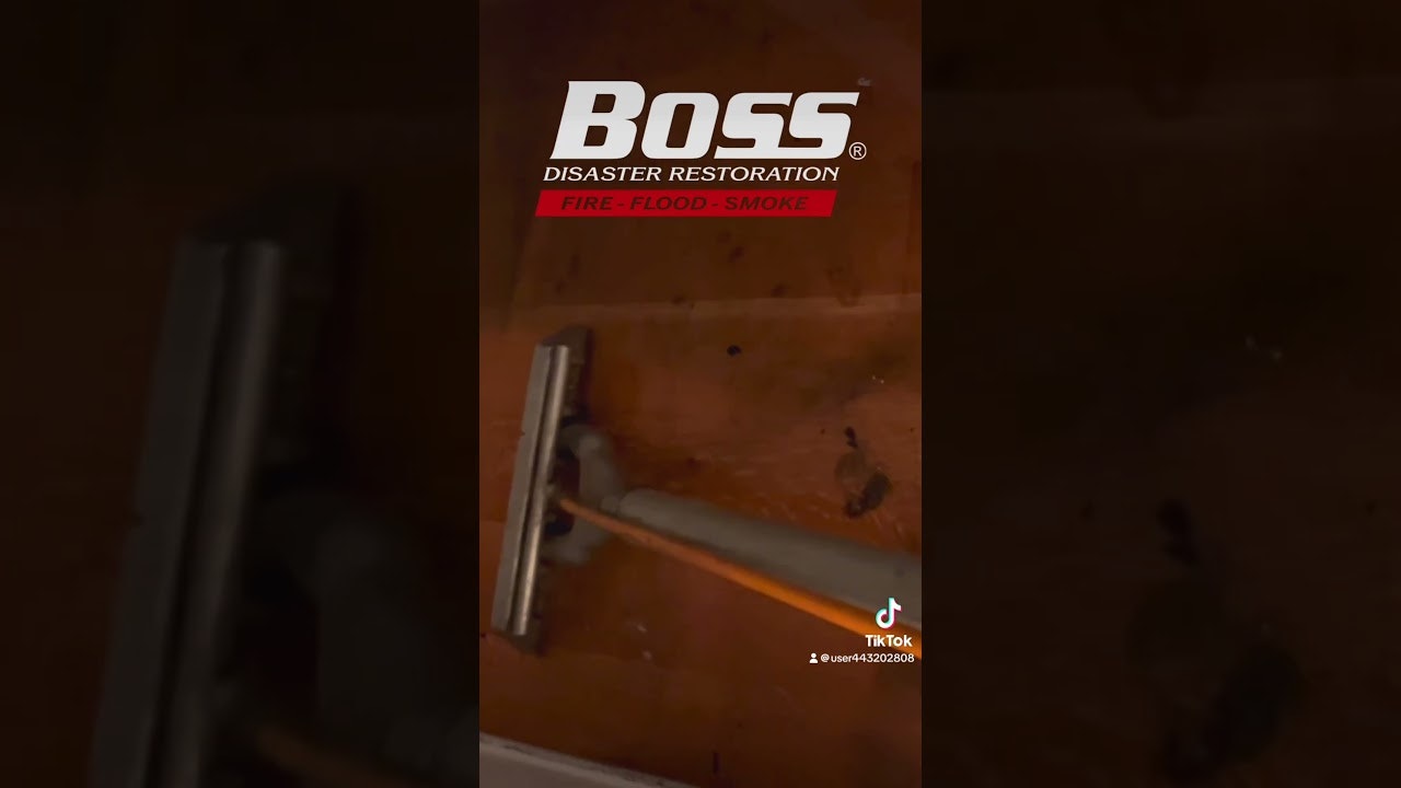 BOSS Disaster Restoration gallery image