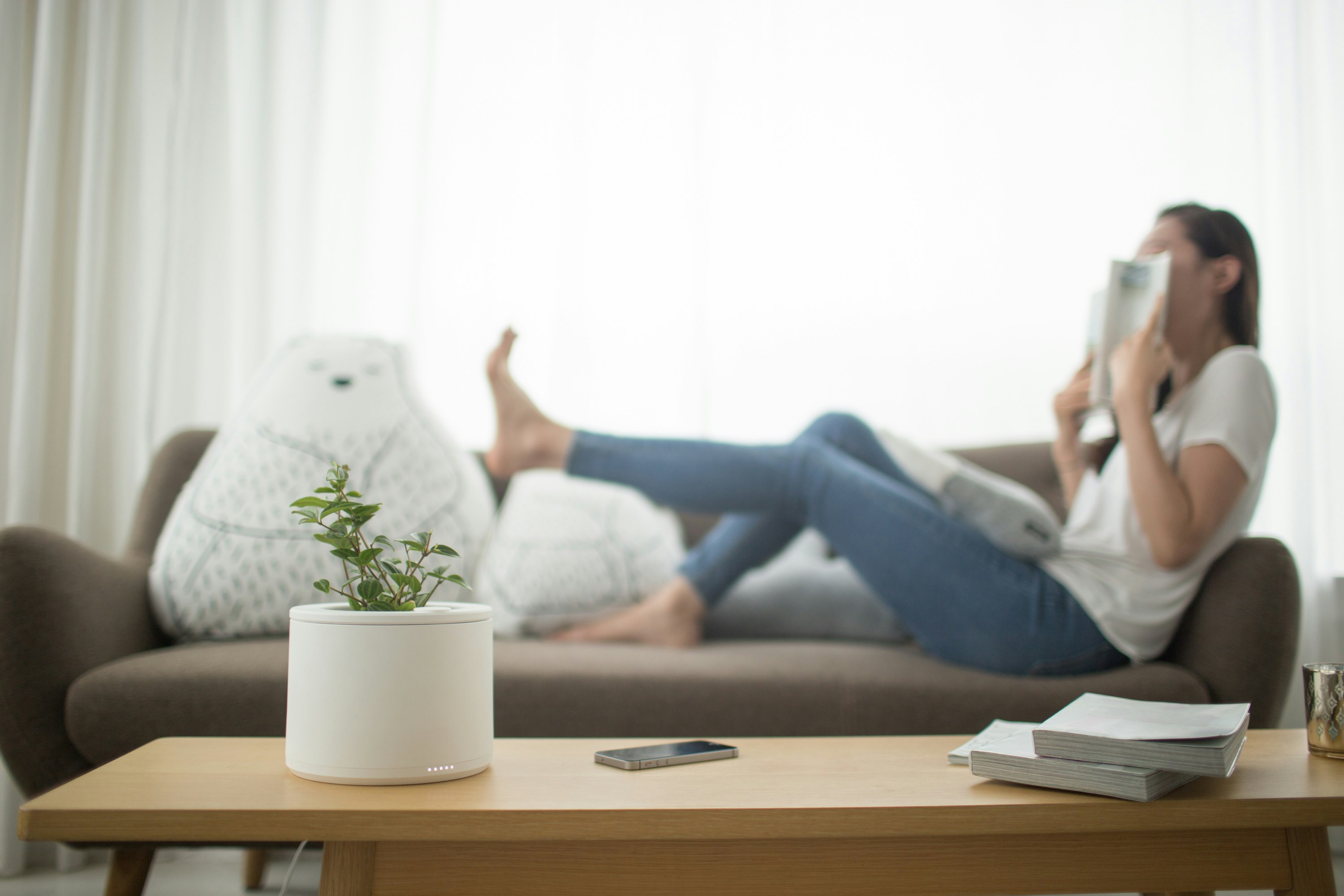 planty gallery image