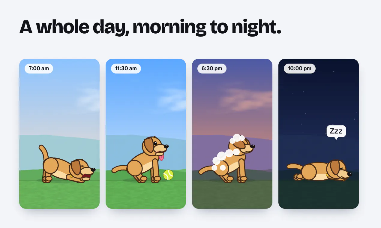 DummyPet gallery image