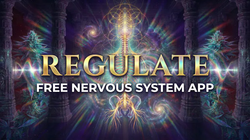 REGULATE screenshot 2