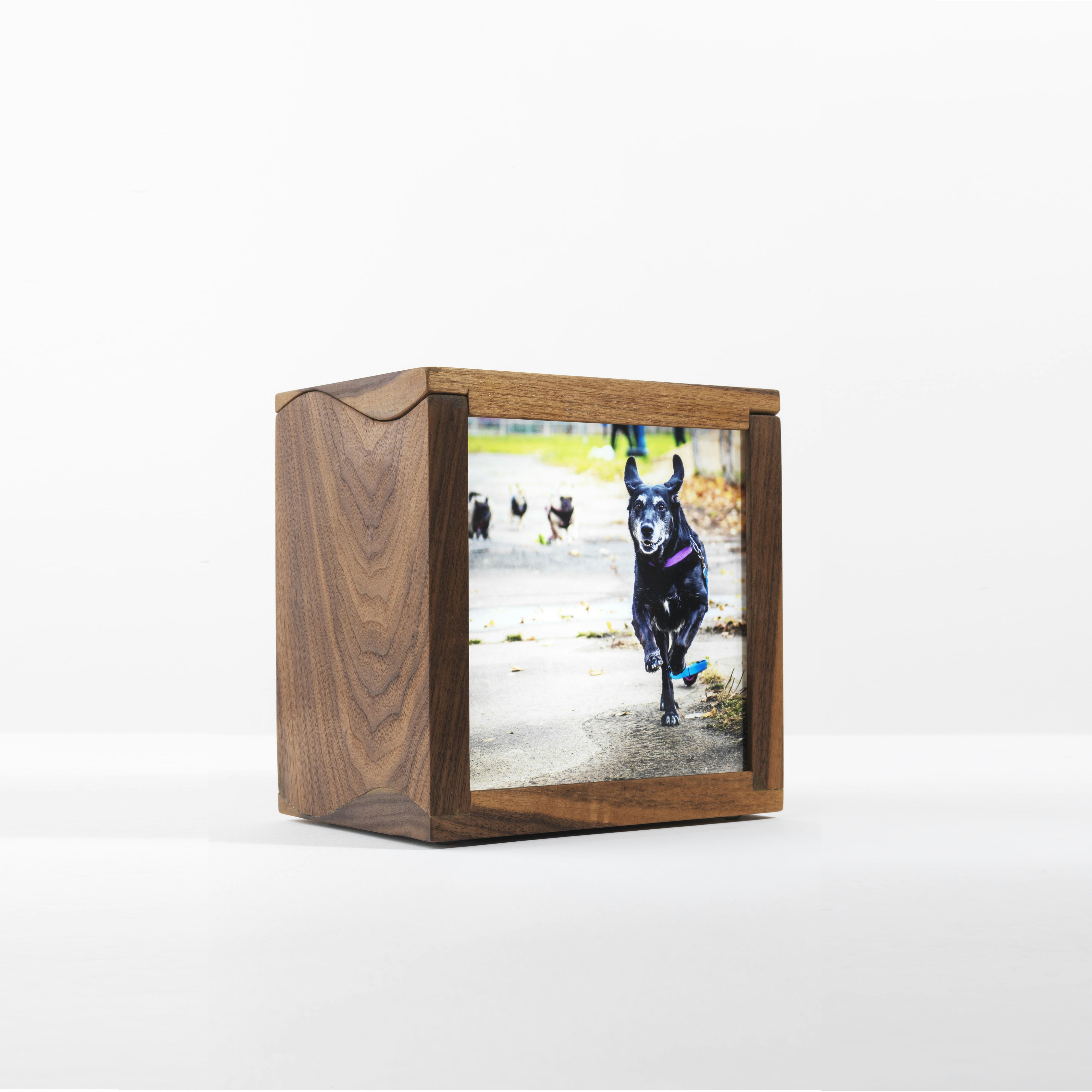 LitPix gallery image