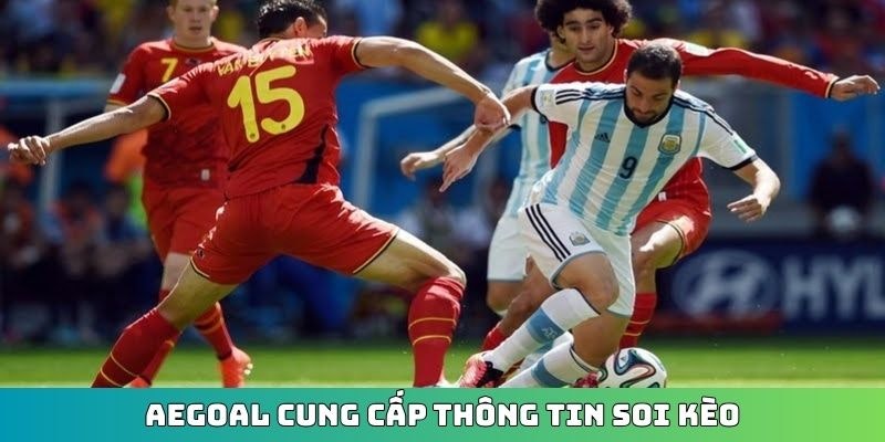 aegoal.org gallery image