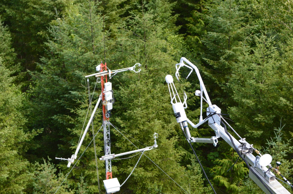 Hyphen Global screenshot 2