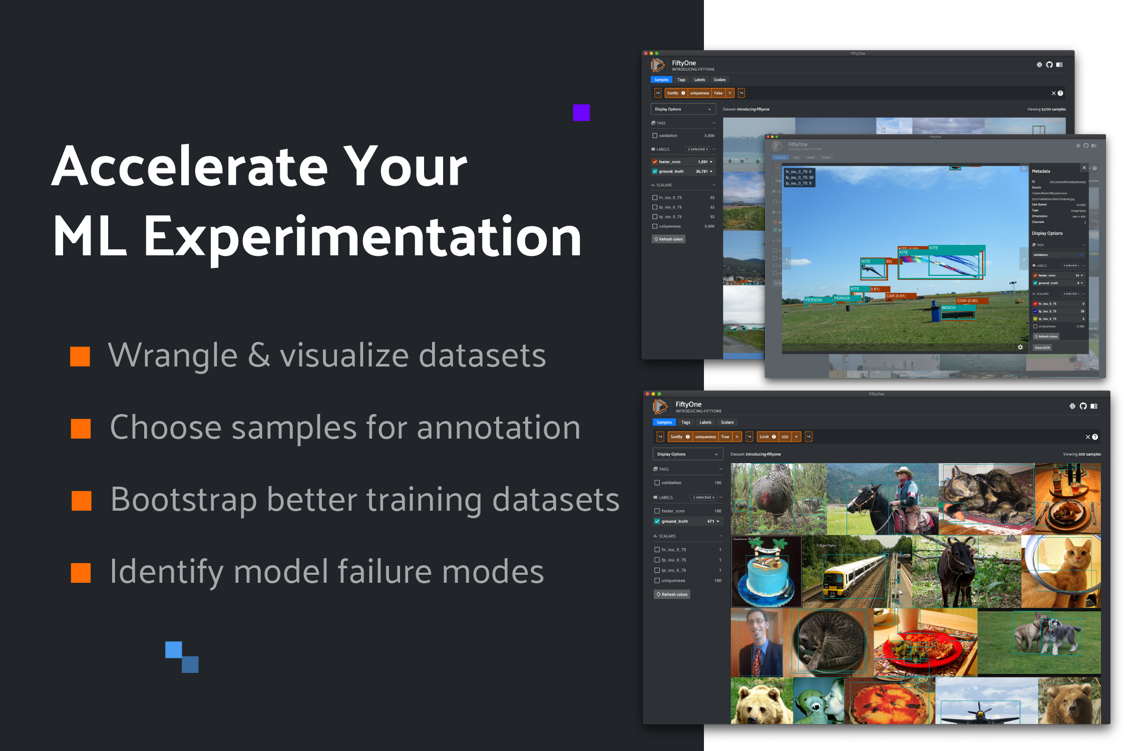 FiftyOne gallery image