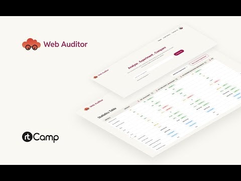 Web Auditor gallery image
