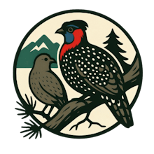 CampZeo gallery image