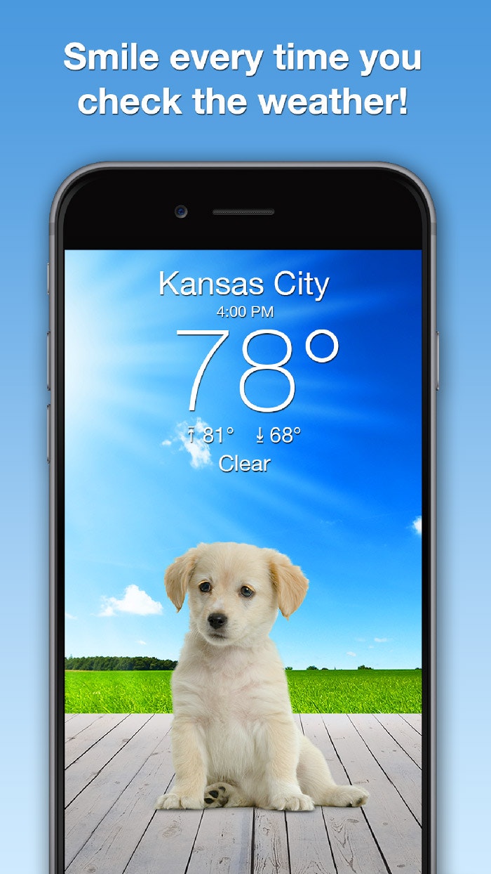 Weather Puppy App gallery image