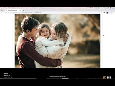 Websites gallery image