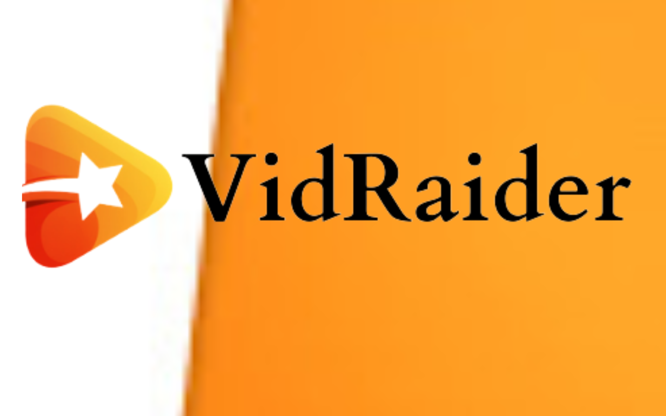 VidRaider gallery image