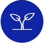 Seedling - Product Hunt launch logo and brand identity