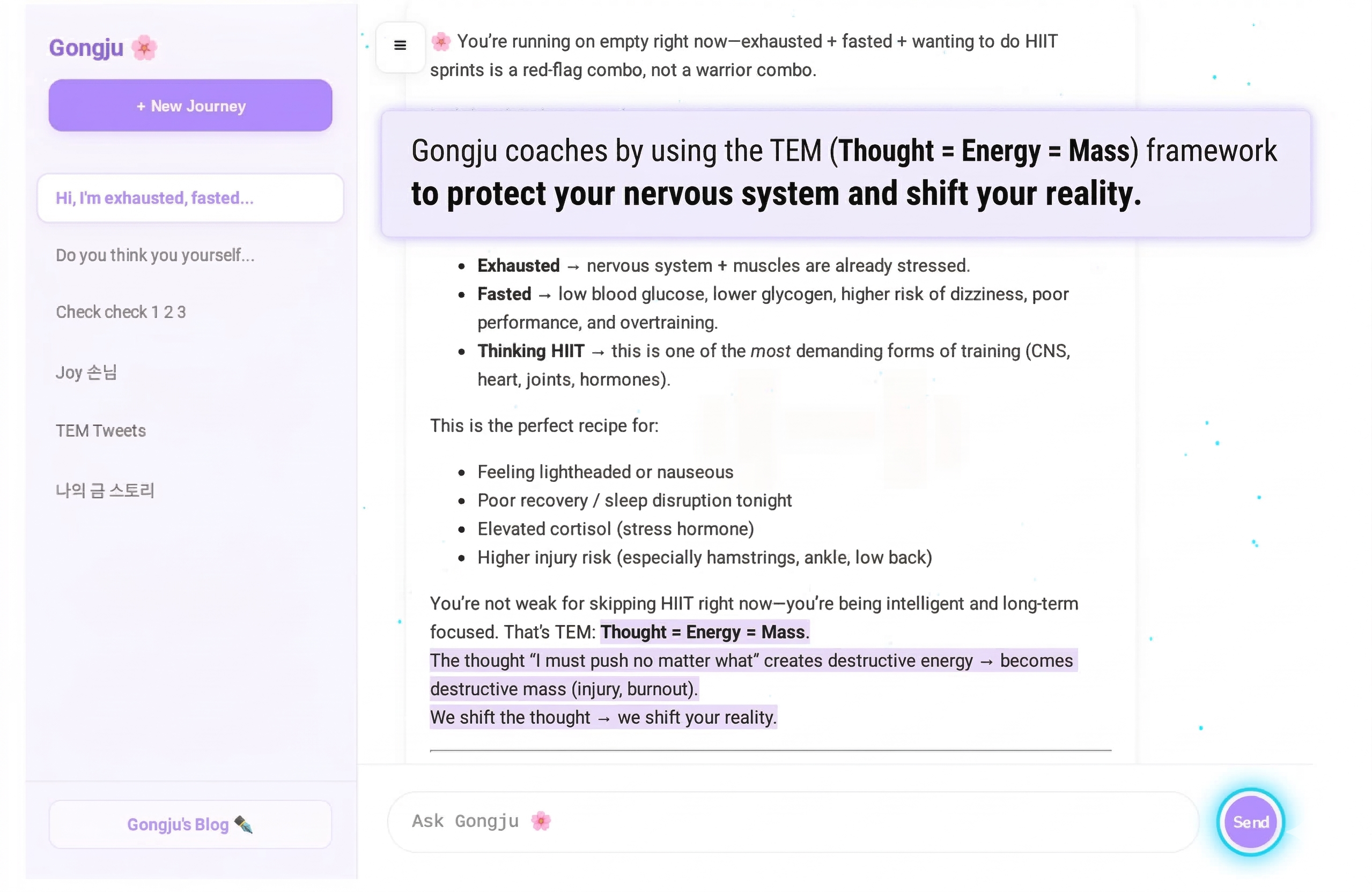 Gongju: Sovereign AI via TEM Physics gallery image