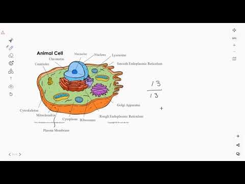 PixelPaper gallery image