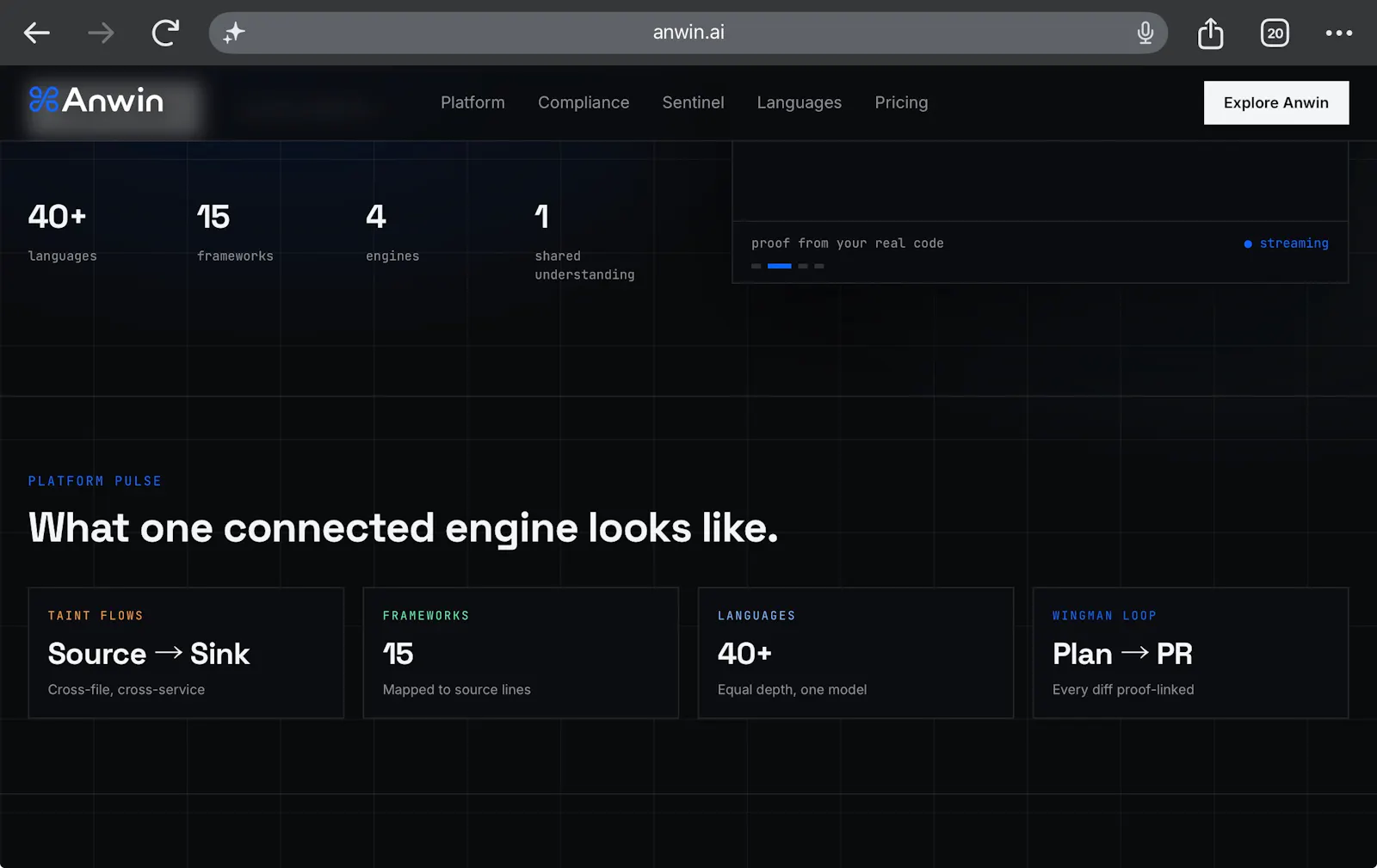 ANWIN screenshot 3