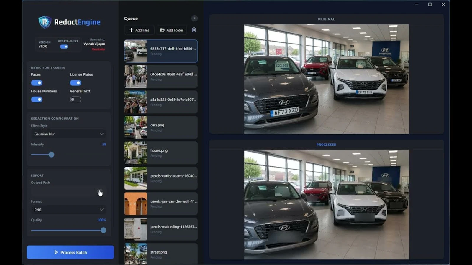 RedactEngine screenshot 1 (video preview)