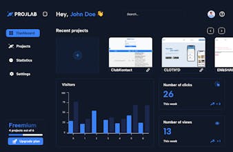 ProjLab gallery image