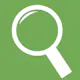 Wordle Solver Online