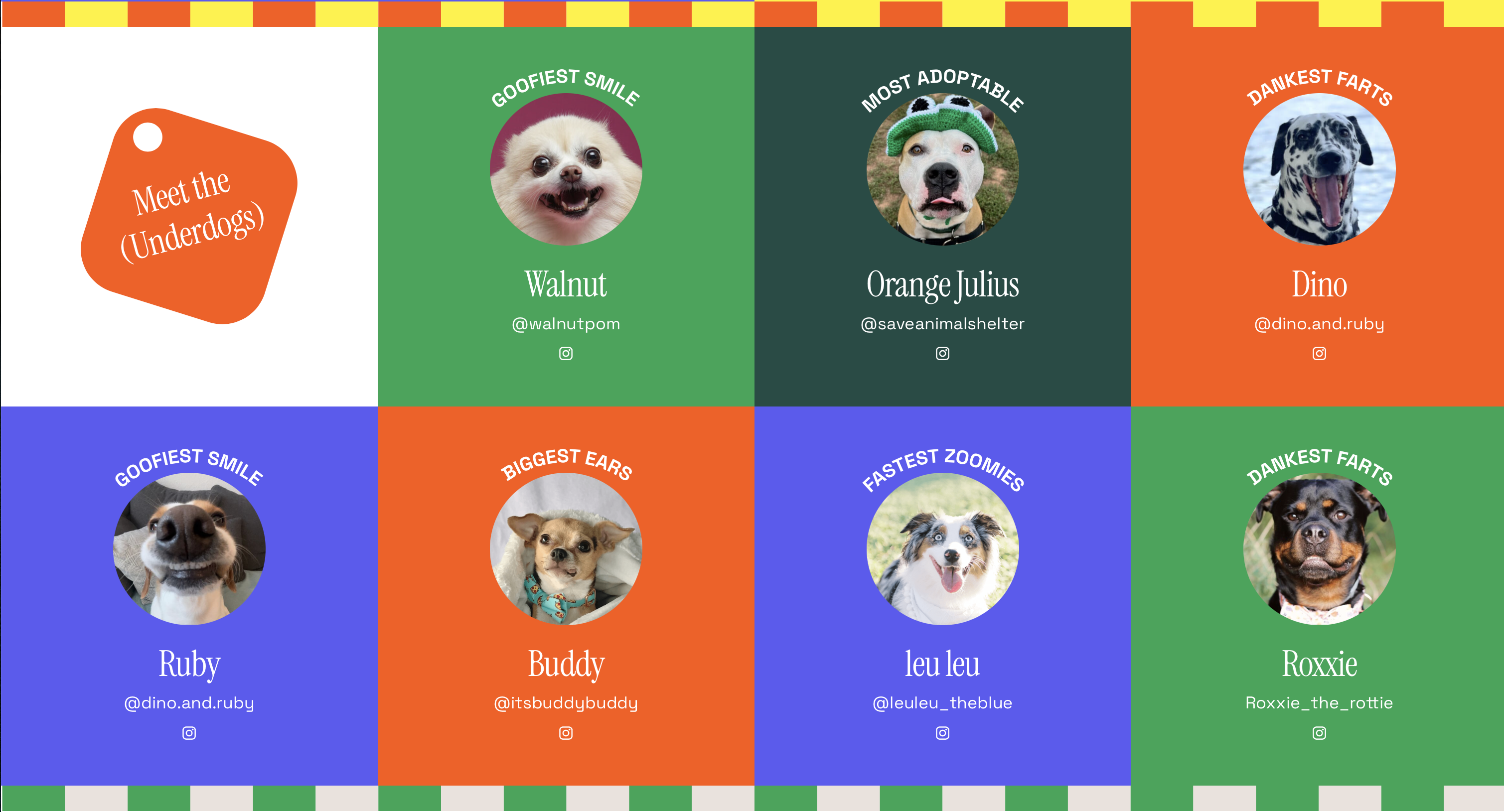 향나무 - Genz Millennial Dog Parents를위한 웹 사이트 및 커뮤니티 미디어 5