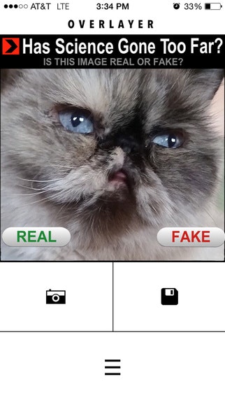 Overlayer gallery image