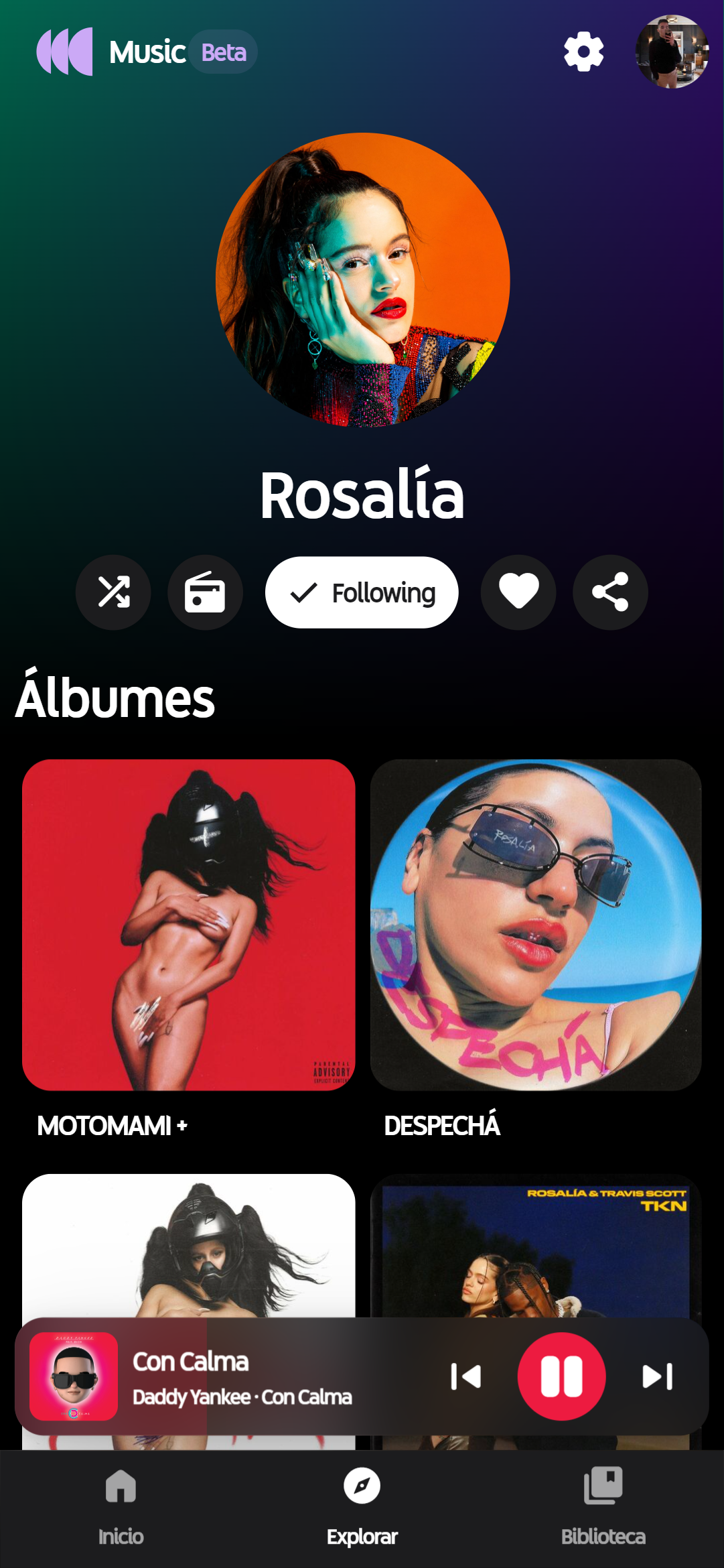 Kaana Music media 3