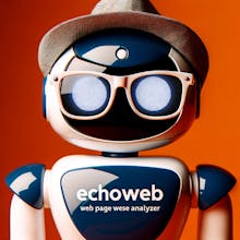 EchoWeb gallery image