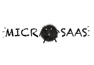 Micro-SaaS Guide gallery image