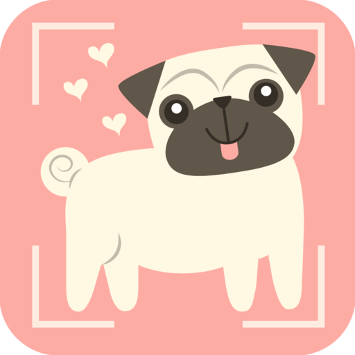 Dog Identifier - Dog Scanner