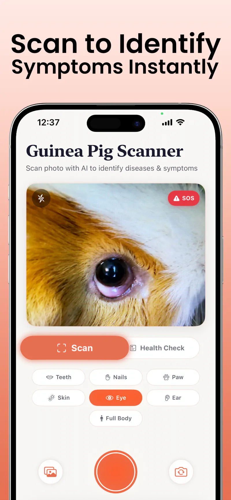 Wheeky: Guinea Pig Identifier screenshot 1