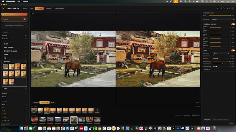 Zinble Color screenshot 3