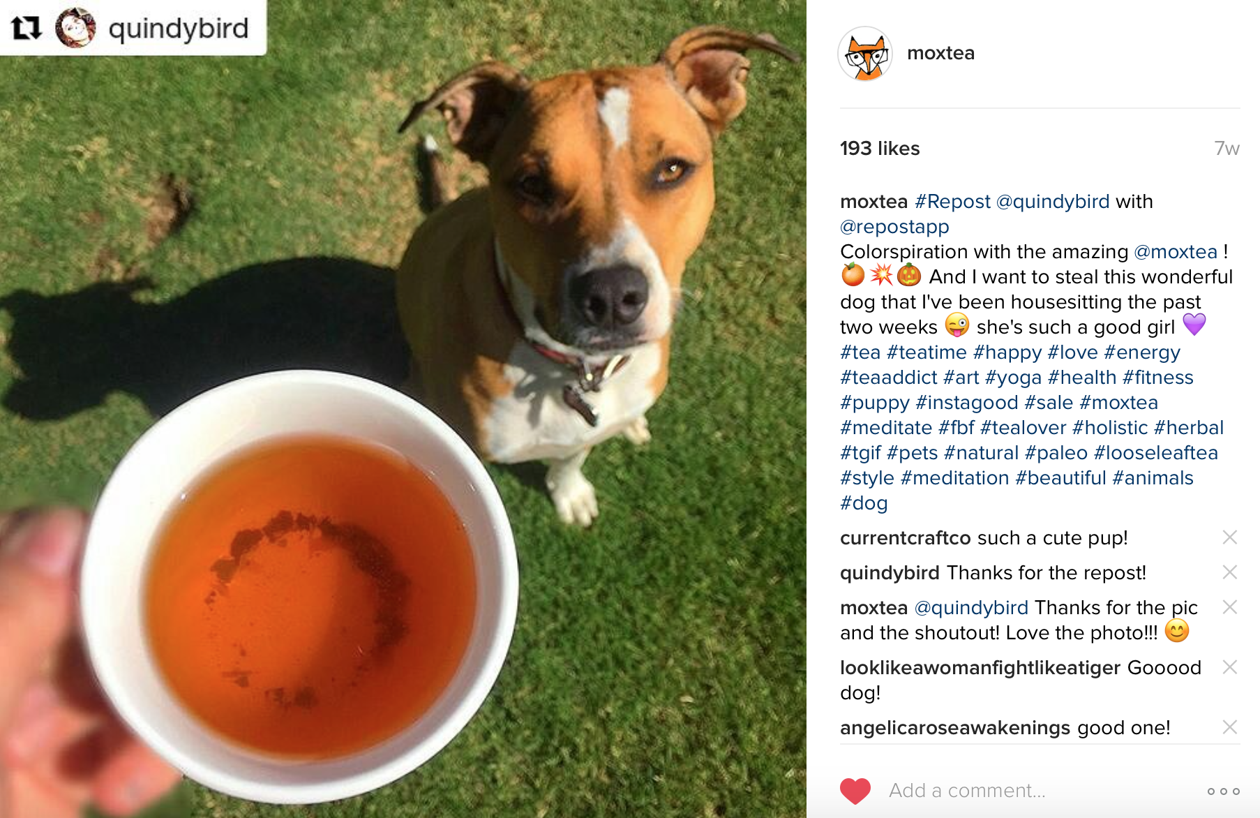 MoxTea - Ancient Viking Herbal Tea gallery image