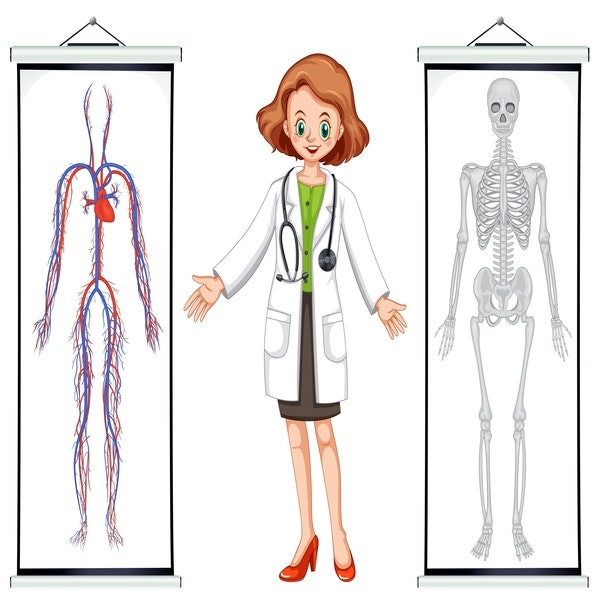 E-book anatomie et physiologie humaines