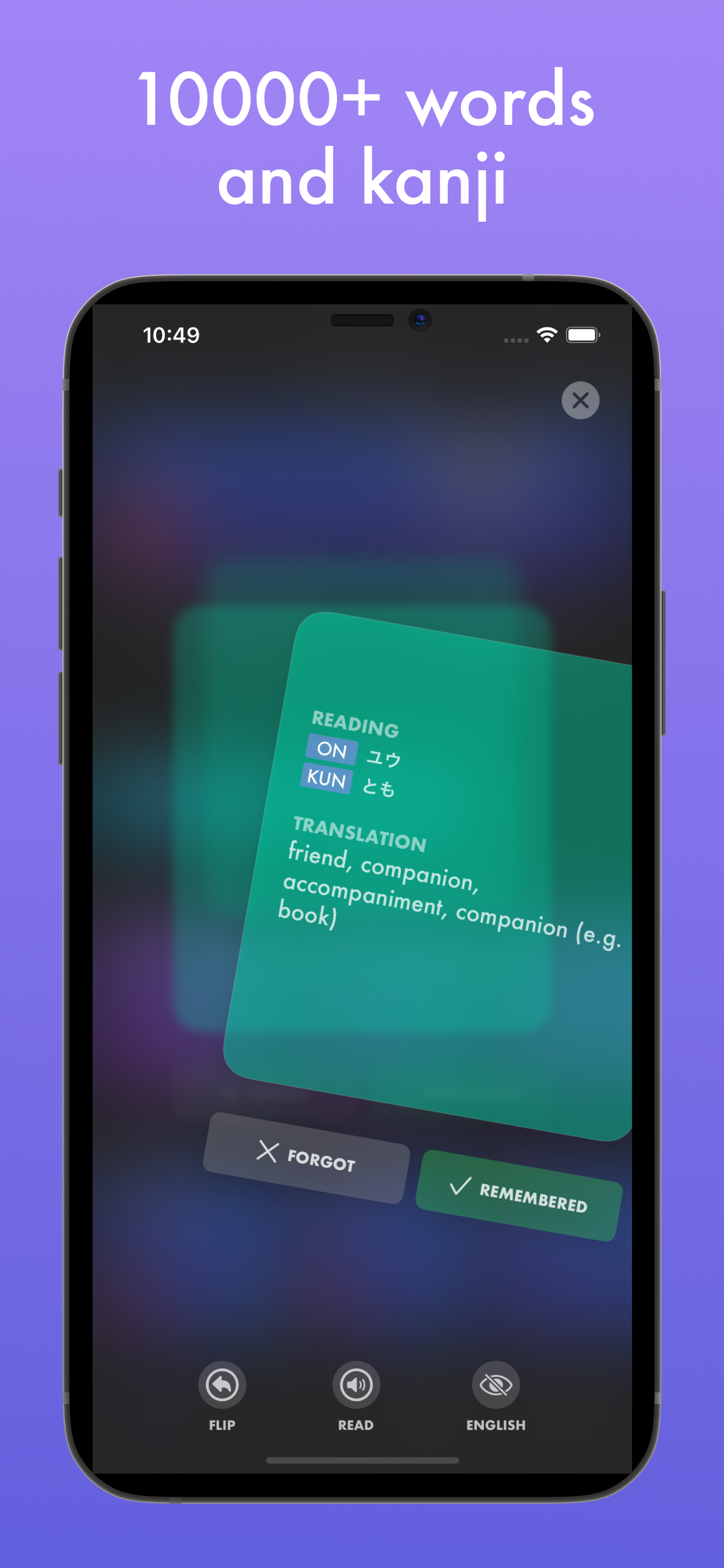 LingoTime gallery image