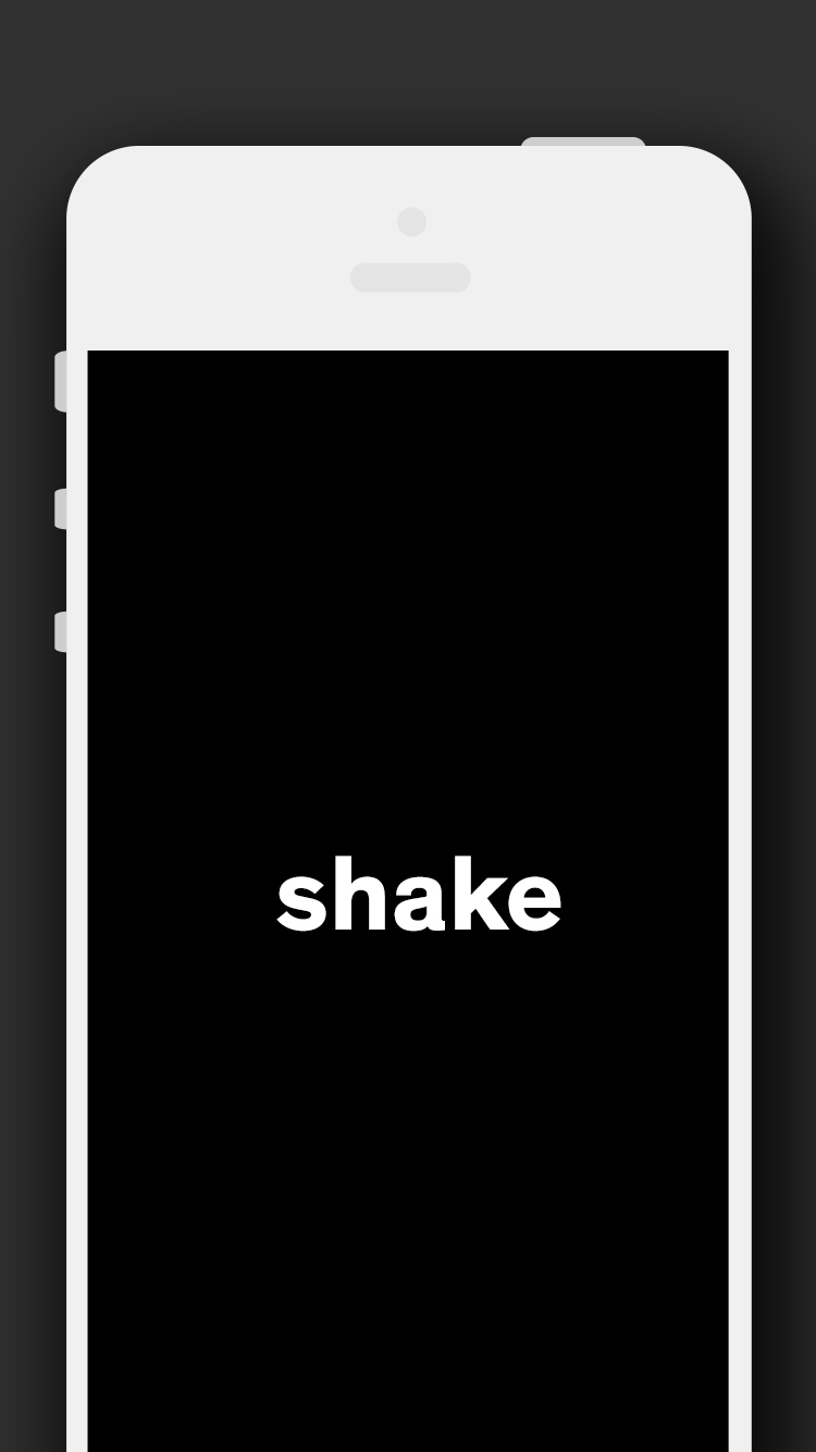 Turtle gallery image