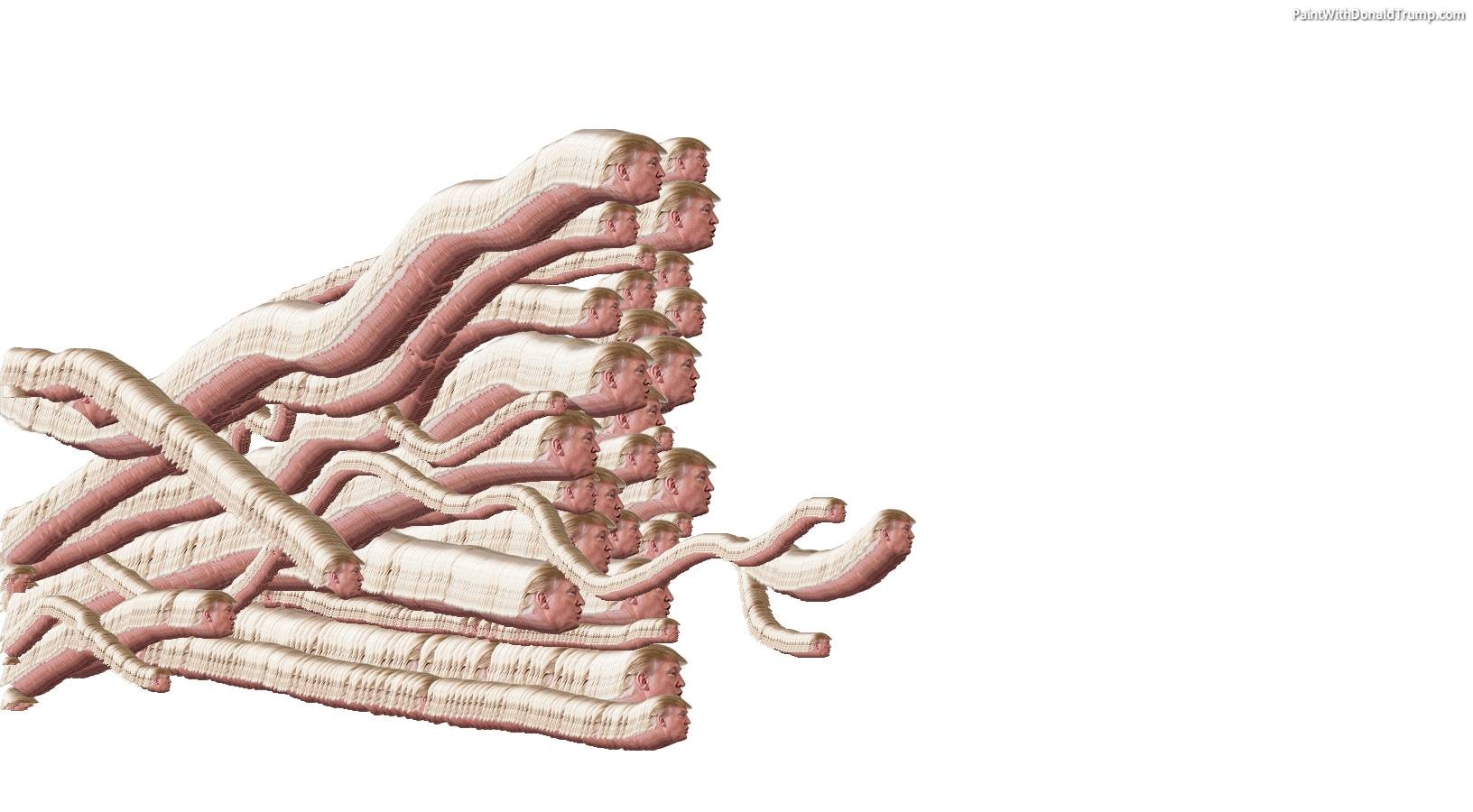 Paint with Donald Trump gallery image