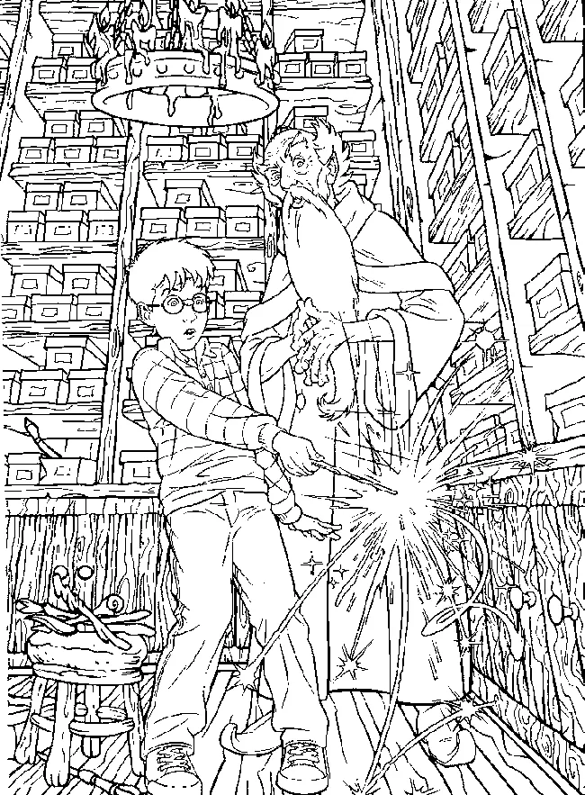 Harry Potter Coloring Book
