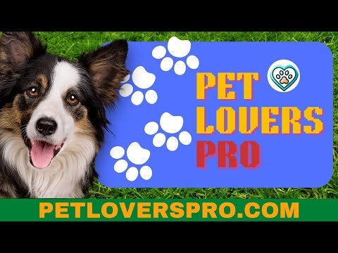 PetLovers Pro gallery image