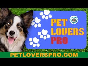 PetLovers Pro gallery image