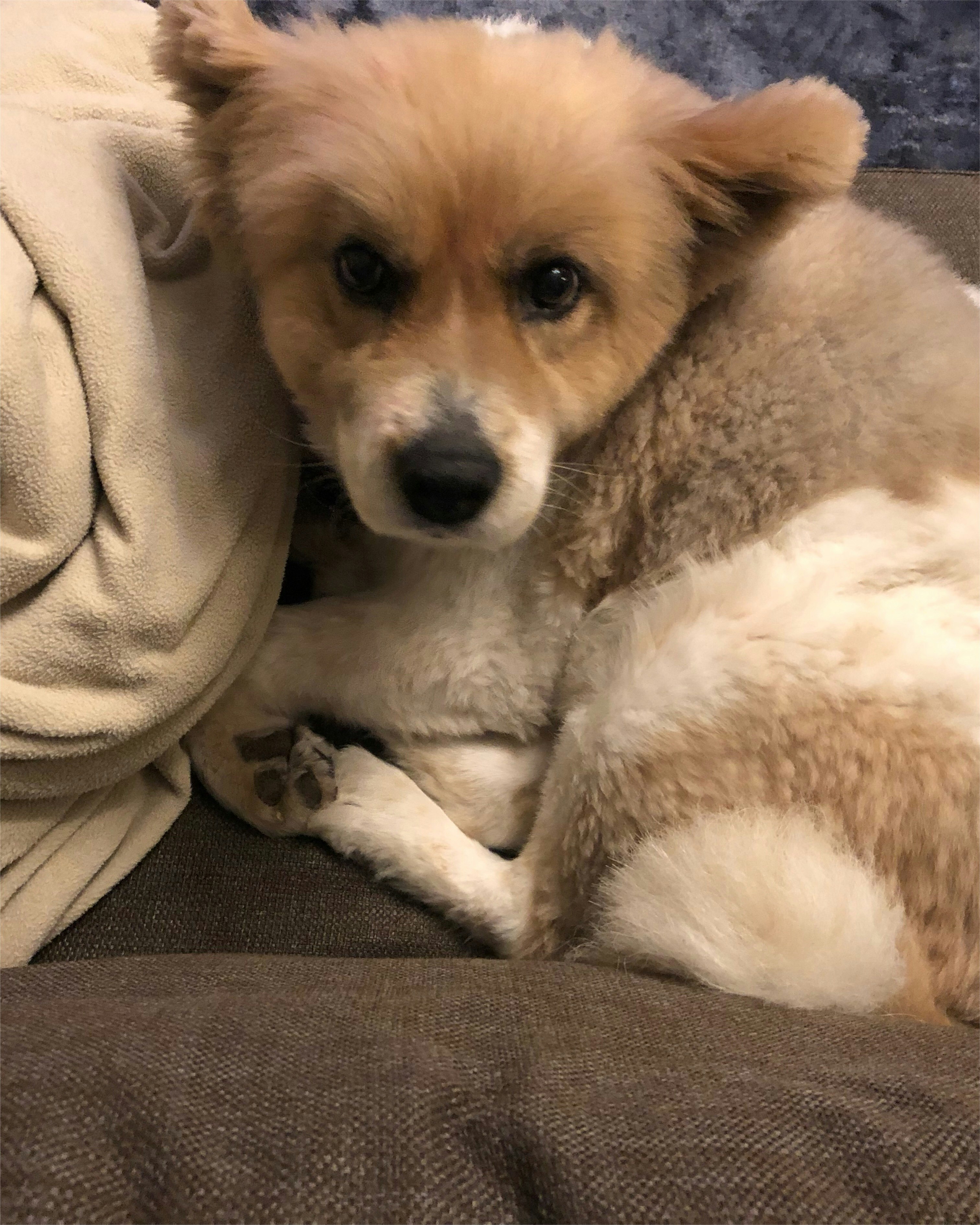 Your Weekly W(h)ine gallery image