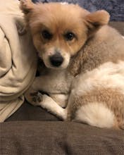 Your Weekly W(h)ine gallery image